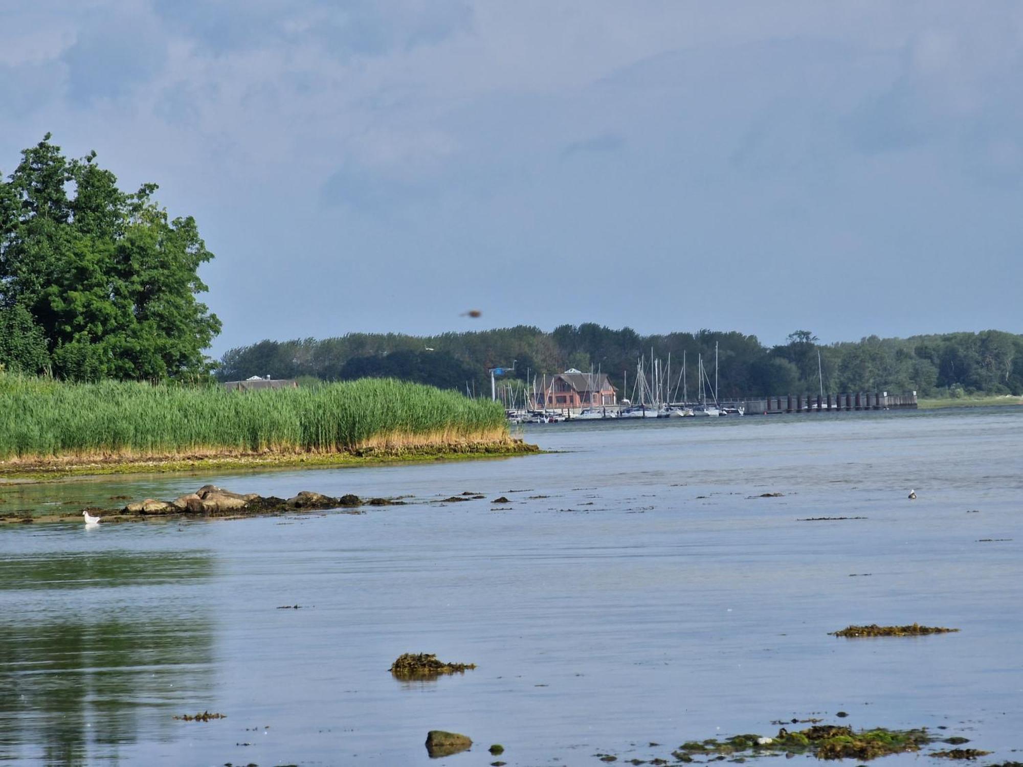 # Urlaubsreif Appartement Zierow Buitenkant foto